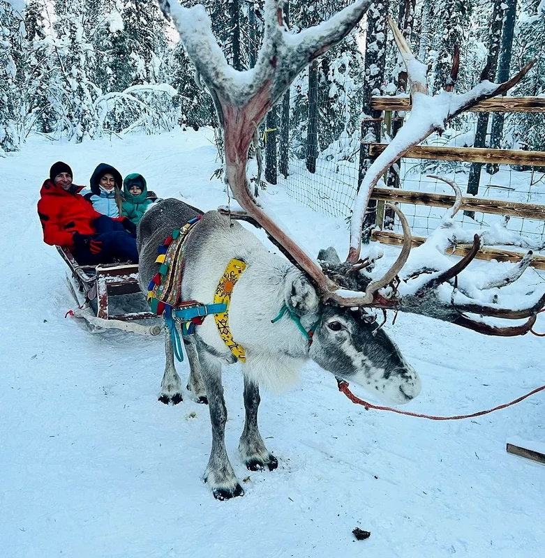 Astfel, după plimbarea cu sania trasă de reni, vizita la casa lui Moș Crăciun, a mai urmat o plimbare cu sania trasă de câinii husky