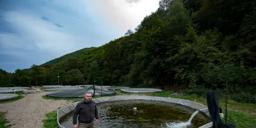 pastravaria bologa ovidiu oltean. FOTO păstăvăria bologa