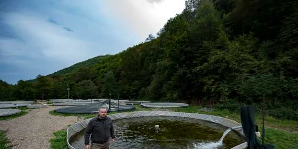 pastravaria bologa ovidiu oltean. FOTO păstăvăria bologa