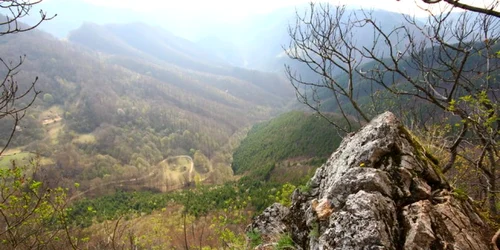 cetatea piatra rosie foto daniel guta adevarul