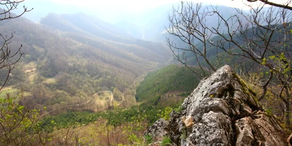 cetatea piatra rosie foto daniel guta adevarul