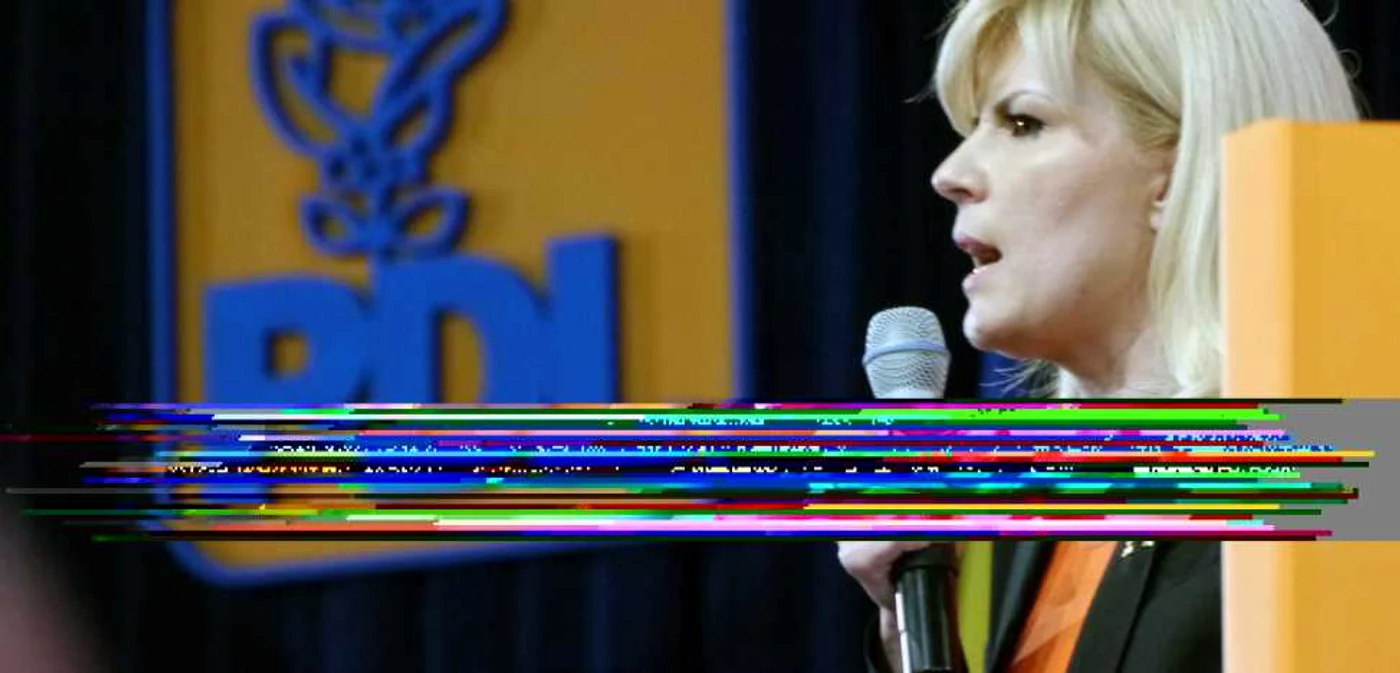 Elena Udrea FOTO: Liviu Iolu