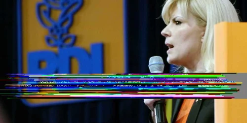 Elena Udrea stegulete Conventia PDL