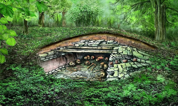 În jurul anului 3100 î.Hr., mormântul megalitic de la Sorsum a fost folosit de comunitățile agricole locale (© Susanne Beyer, Inst. UFG/Uni Kiel)