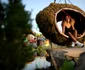 Festivalul Glastonbury 2019 FOTO Guliver Getty Images