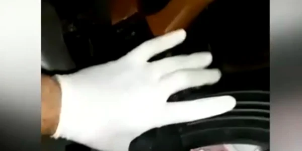  Nunta Ialomita