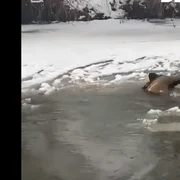 copil cazut in apa Dej 24 png