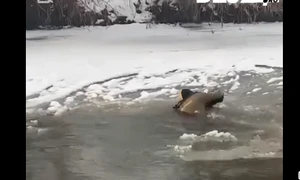 copil cazut in apa Dej 24 png