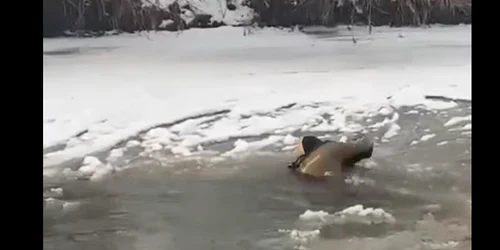 copil cazut in apa Dej 24 png