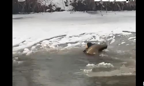 copil cazut in apa Dej 24 png