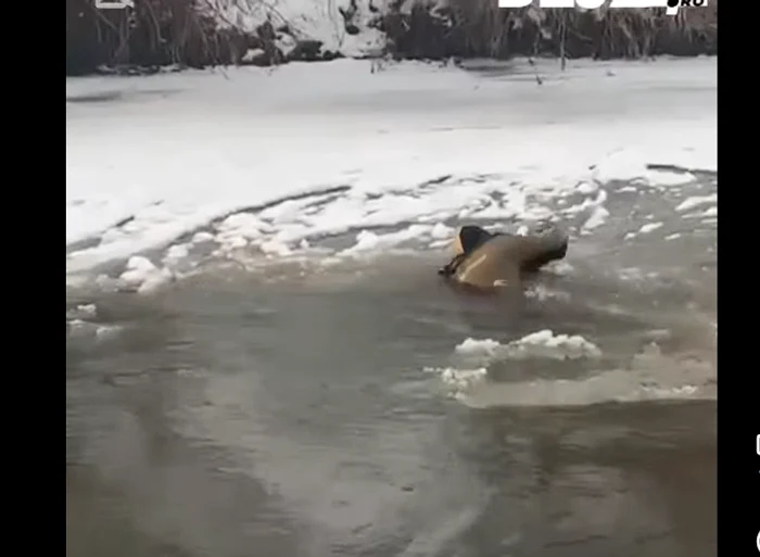 Salvatorii îl caută în apa înghețată. FOTO Dej 24