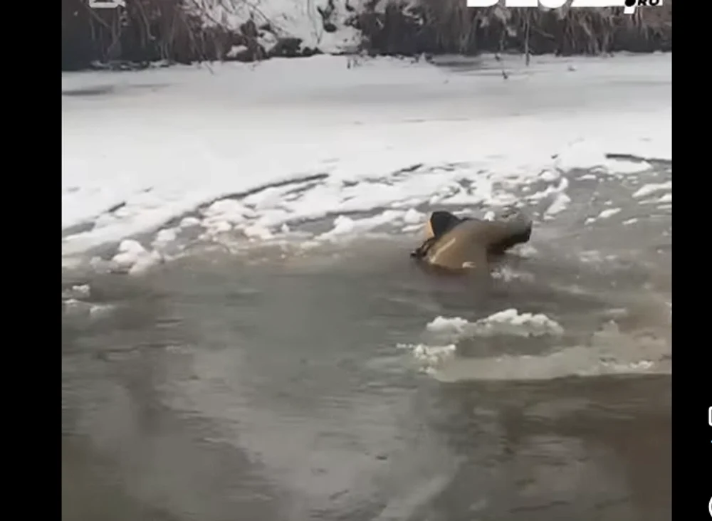 Doi copii, de 4 și 5 ani, au căzut în râul Someș, în timp ce se aflau la derdeluș. Unul dintre ei e de negăsit. Mobilizare impresionantă