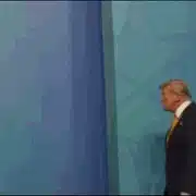 trump meloni gif gif
