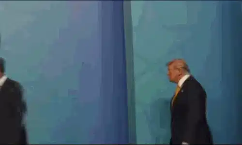 trump meloni gif gif