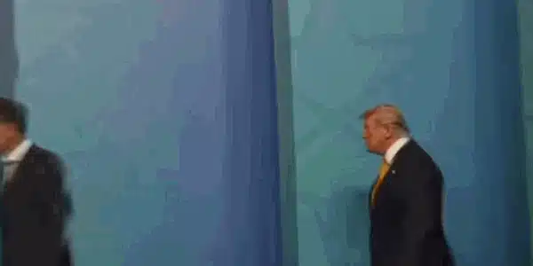trump meloni gif gif