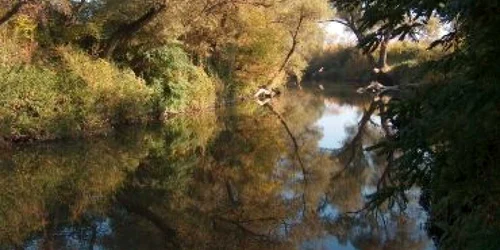 Târgu-Mureş: „Echilibru pentru viaţă” pe Târnava Mică