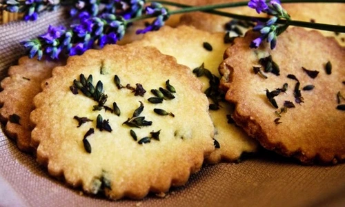 1 66042 original jpg jpeg