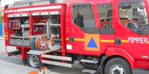 Pompierii au găsit maidanezul după o oră de căutări