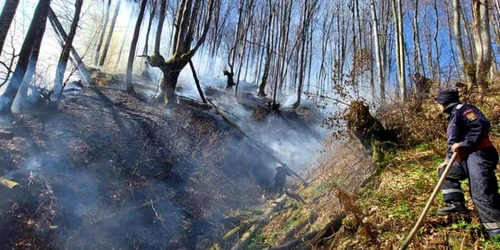 incendii padure isu hunedoara