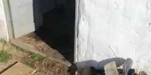 5dc0248f5163ec4271adf7e3 jpg