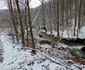 Valea Anineșului Drumul spre Fața Cetei (12) jpg
