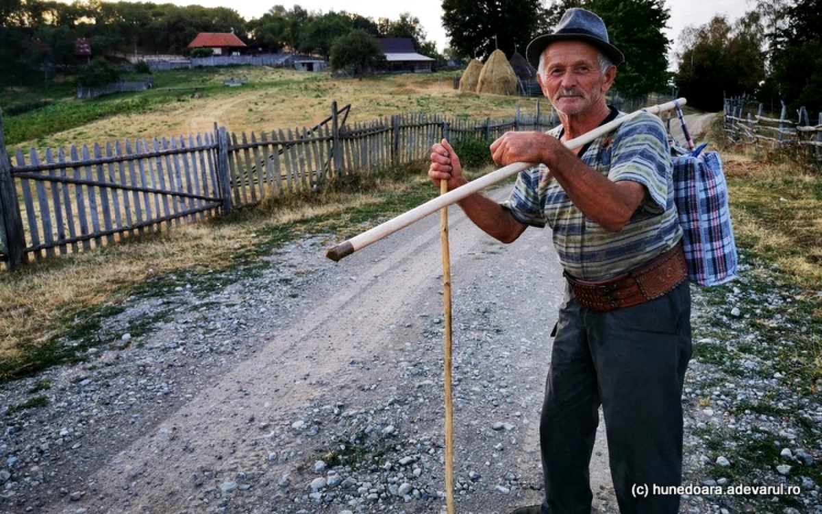 Un vârstnic din Ursici cară apă de la izvor, după ce fântâna din curte i-a secat. Foto: Daniel Guţă. ADEVĂRUL