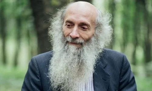 mircea daneasa jpeg