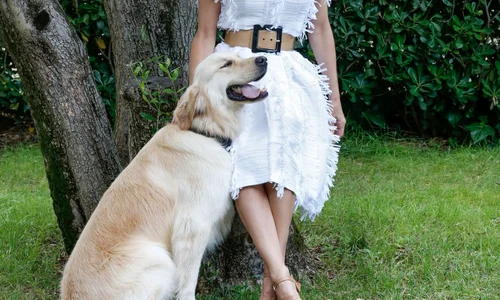 Exclusif   Prix spécial   No Web   Pamela Anderson et le chef Christophe Leroy ouvrent un restaurant éphémère au Moulin de Ramatuelle jpeg