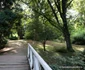 parcul dendrologic din simeria foto daniel guta adevarul
