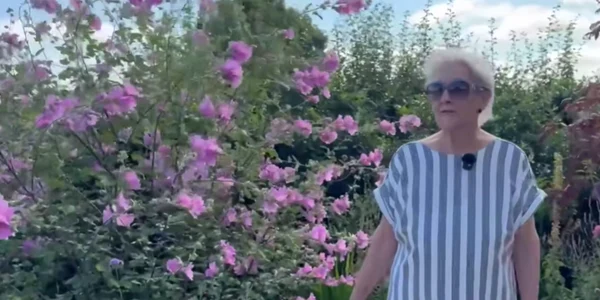 un cuplu de batrani din marea britanie risca sa fie amendati din cauza unei gradini amenajate foto captura video swns  png