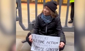 greta thunberg captura video jpg