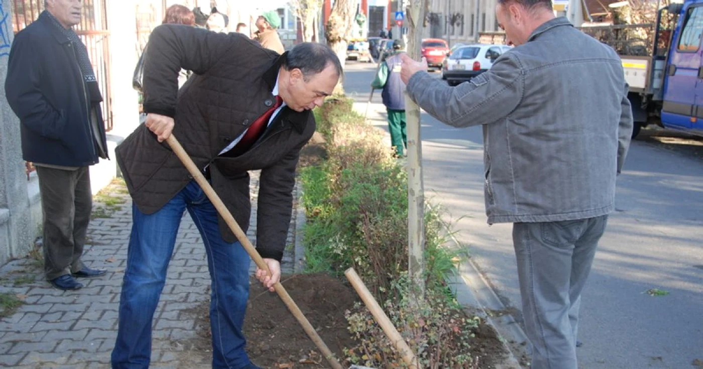 Primarul a plantat copaci în centrul oraşului