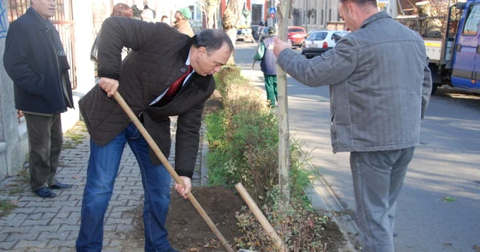 Primarul a plantat copaci în centrul oraşului