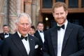 Printul Harry si Charles jpeg