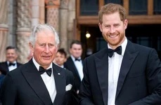 Printul Harry si Charles jpeg