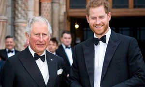 Printul Harry si Charles jpeg
