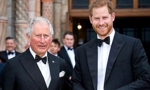 Printul Harry si Charles jpeg
