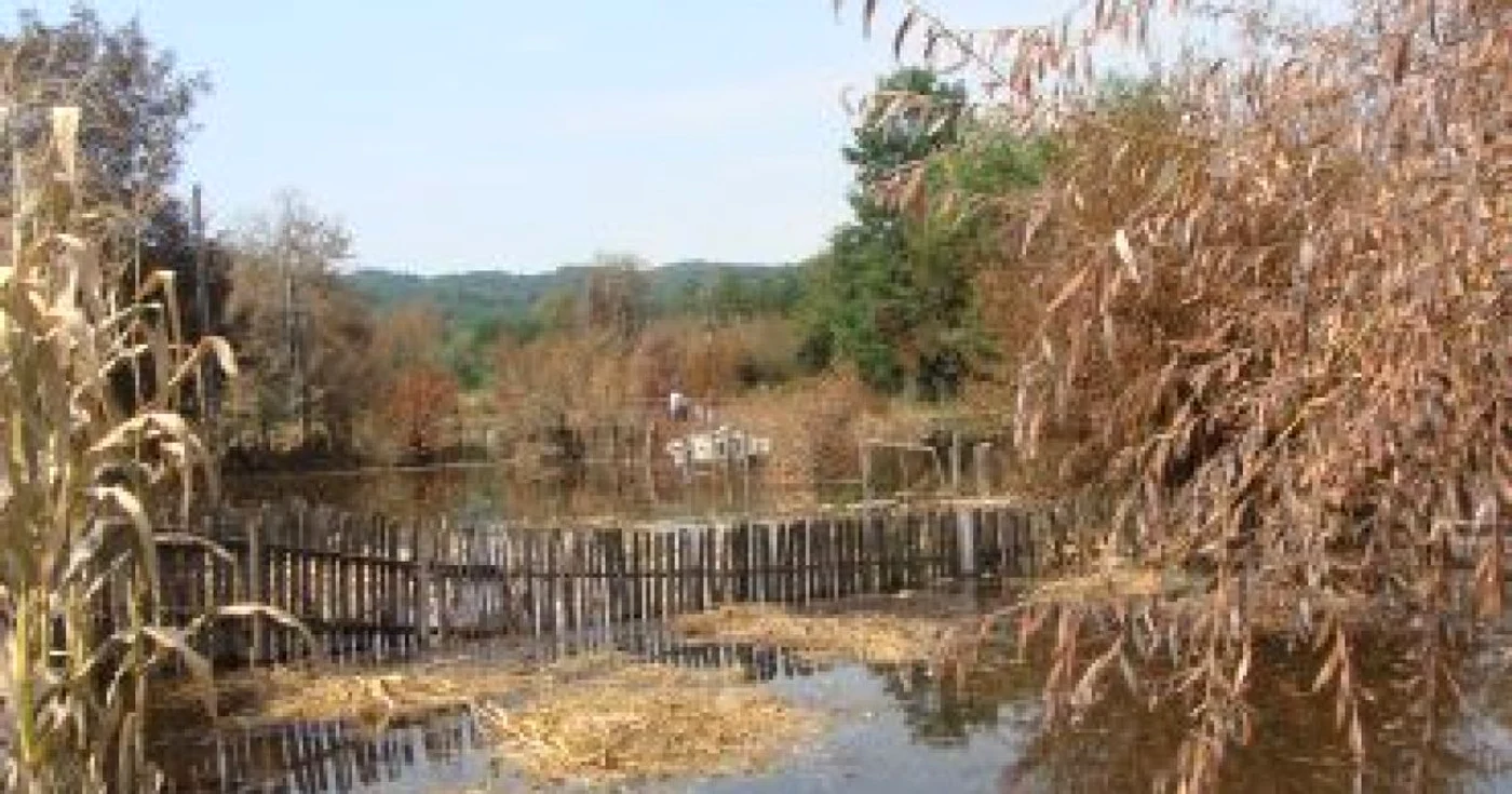 Râmnicu Vâlcea: Saramura a intrat în casele oamenilor
