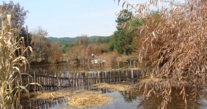 Râmnicu Vâlcea: Saramura a intrat în casele oamenilor