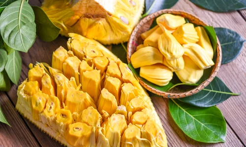 Jackfruit FOTO Shutterstock jpg
