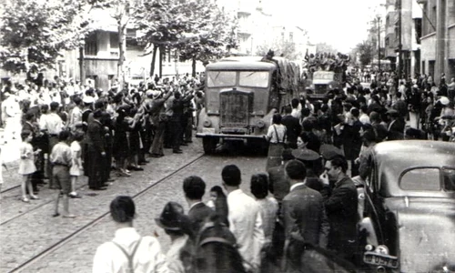 Prăpădul pe care l a făcut Armata Roșie  Studiu de caz Judetul Argeș în anii 1944  1947 jpeg