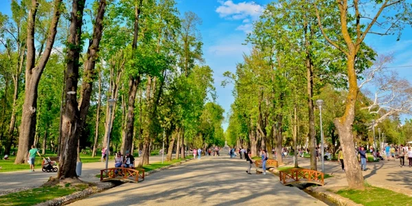 cluj