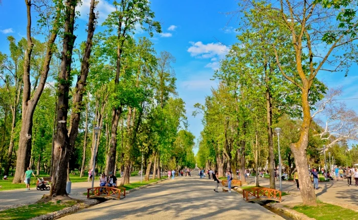 Parcul Central Cluj FOTO: tibifarcas.ro