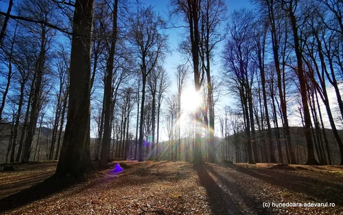 Sarmizegetusa Regia, solstitiu de iarnă Foto Daniel Guță ADEVĂRUL (24) jpg