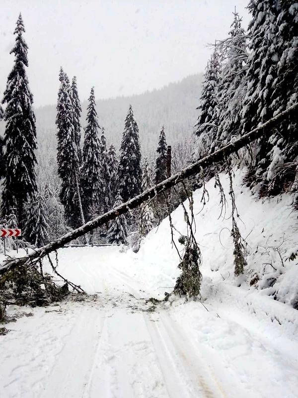 Drumul a fost blocat în zona Cheile Tătarului. FOTO IJJ Dâmbovița