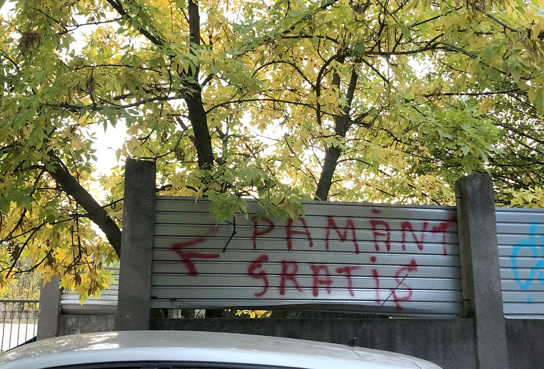 © C.Ștefan