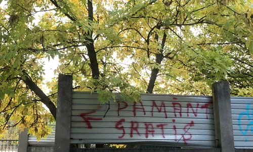 p 24 C  Stefan jpg