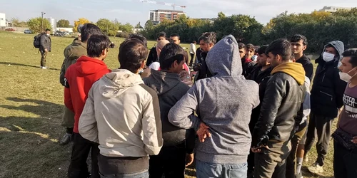 Afgan parc din Timişoara FOTO Ş.Both