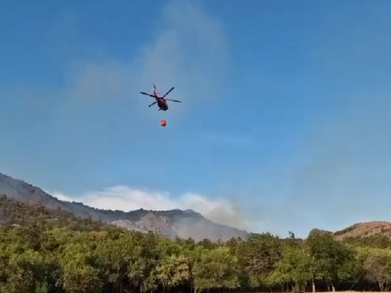 Zeci de hectare de vegetație, cuprinse de incendiu în Tulcea. A fost solicitat un elicopter Black Hawk
