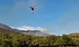 incendiu de vegetatie in Tulcea foto isu png